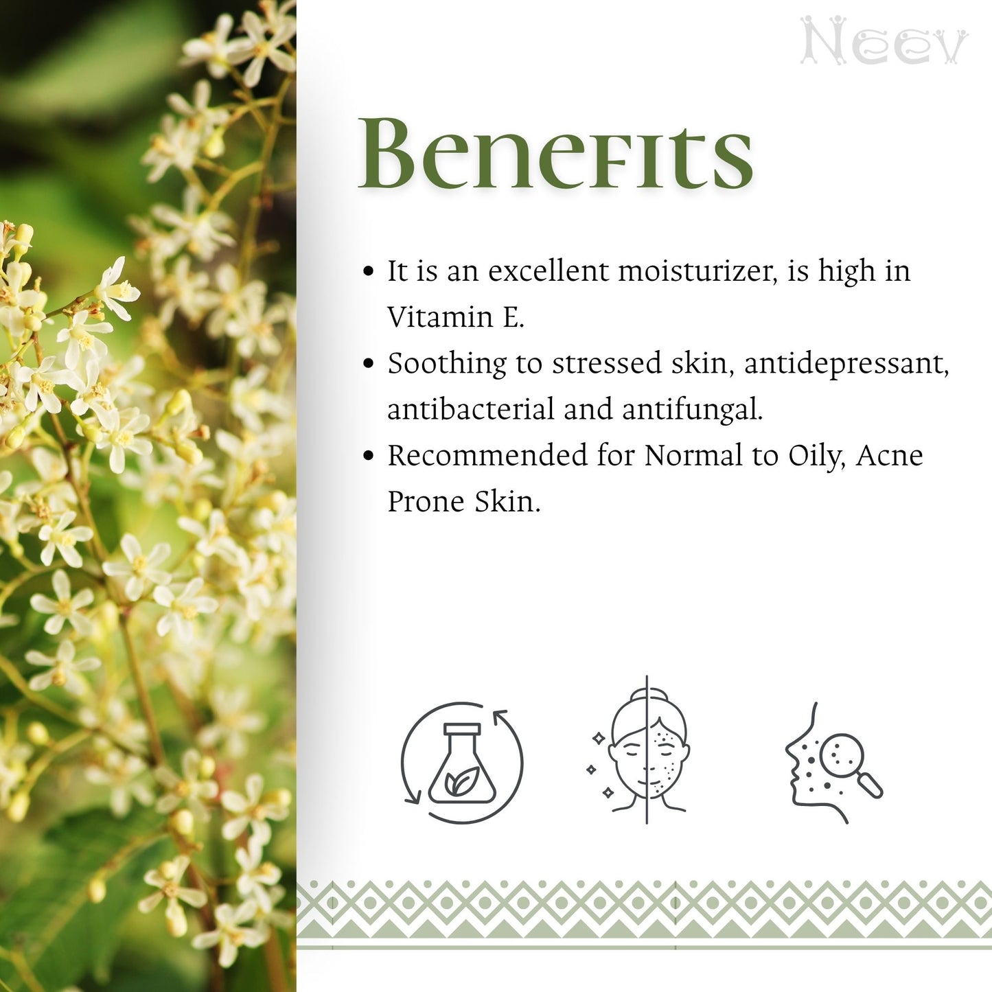 NEEM TULSI HANDMADE SOAP - THE PURIFYING & REJUVENATING ESSENC - SET OF 3